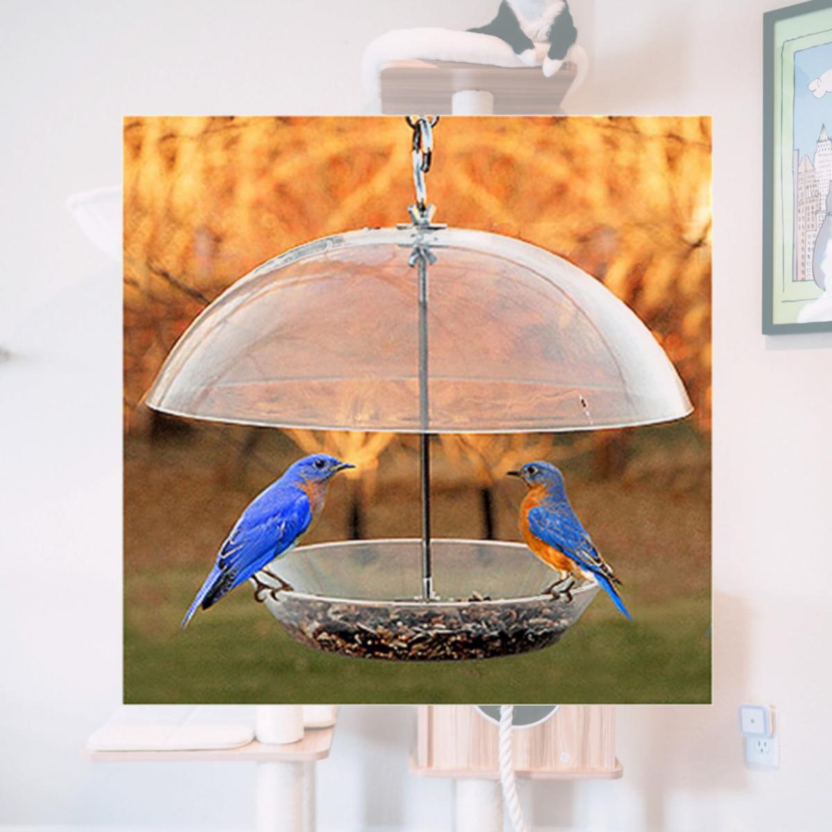 Picture of Woodlink NABBFDR Dome Top Seed & Bluebird Bird Feeder