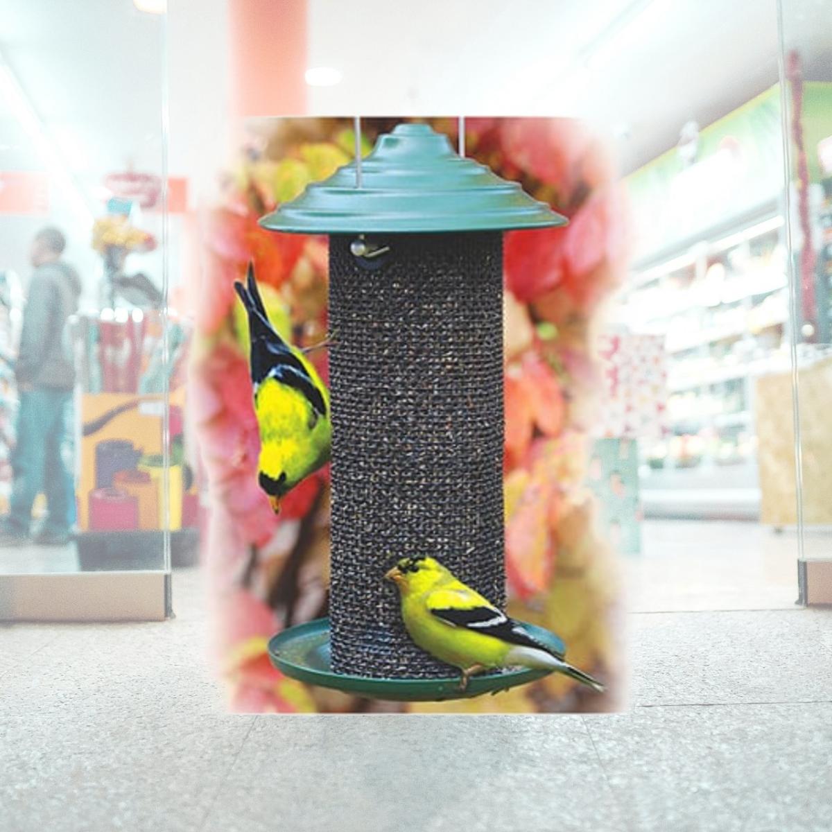 Picture of Woodlink NAMINIMAG2  Thistle Magnum Bird Feeder