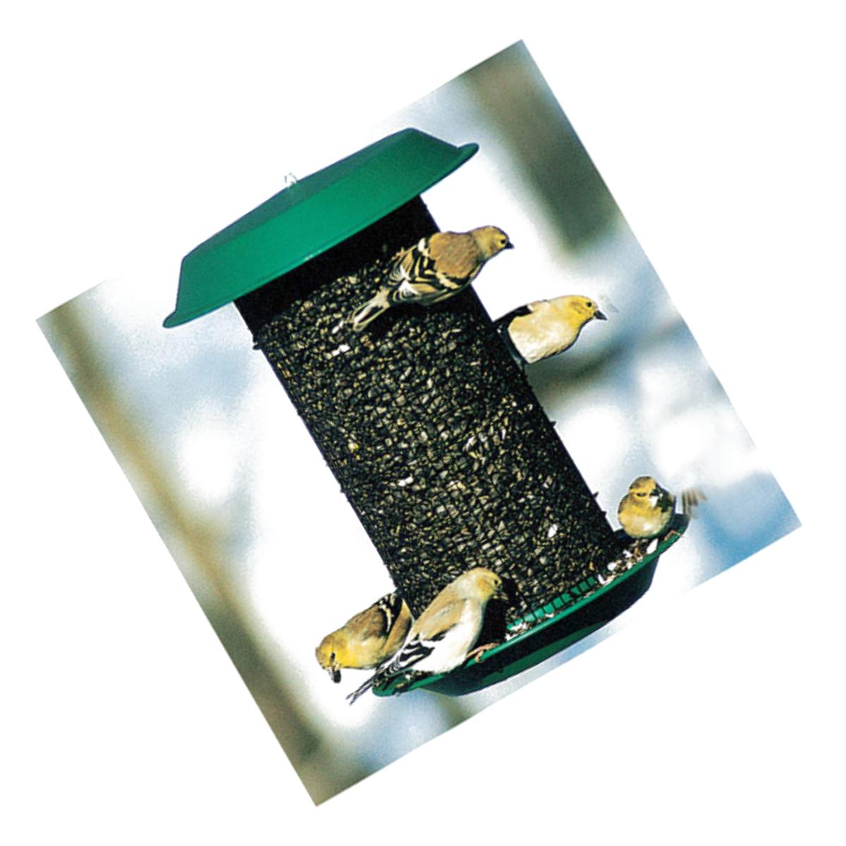 Picture of Woodlink NAMAG1 Plastic Oil Sunflower Bird Magnum Feeder- Hunter Green