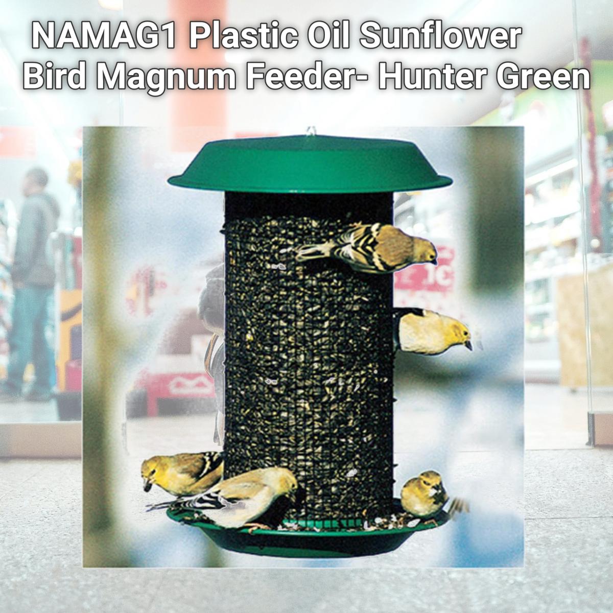 Picture of Woodlink NAMAG1 Plastic Oil Sunflower Bird Magnum Feeder- Hunter Green
