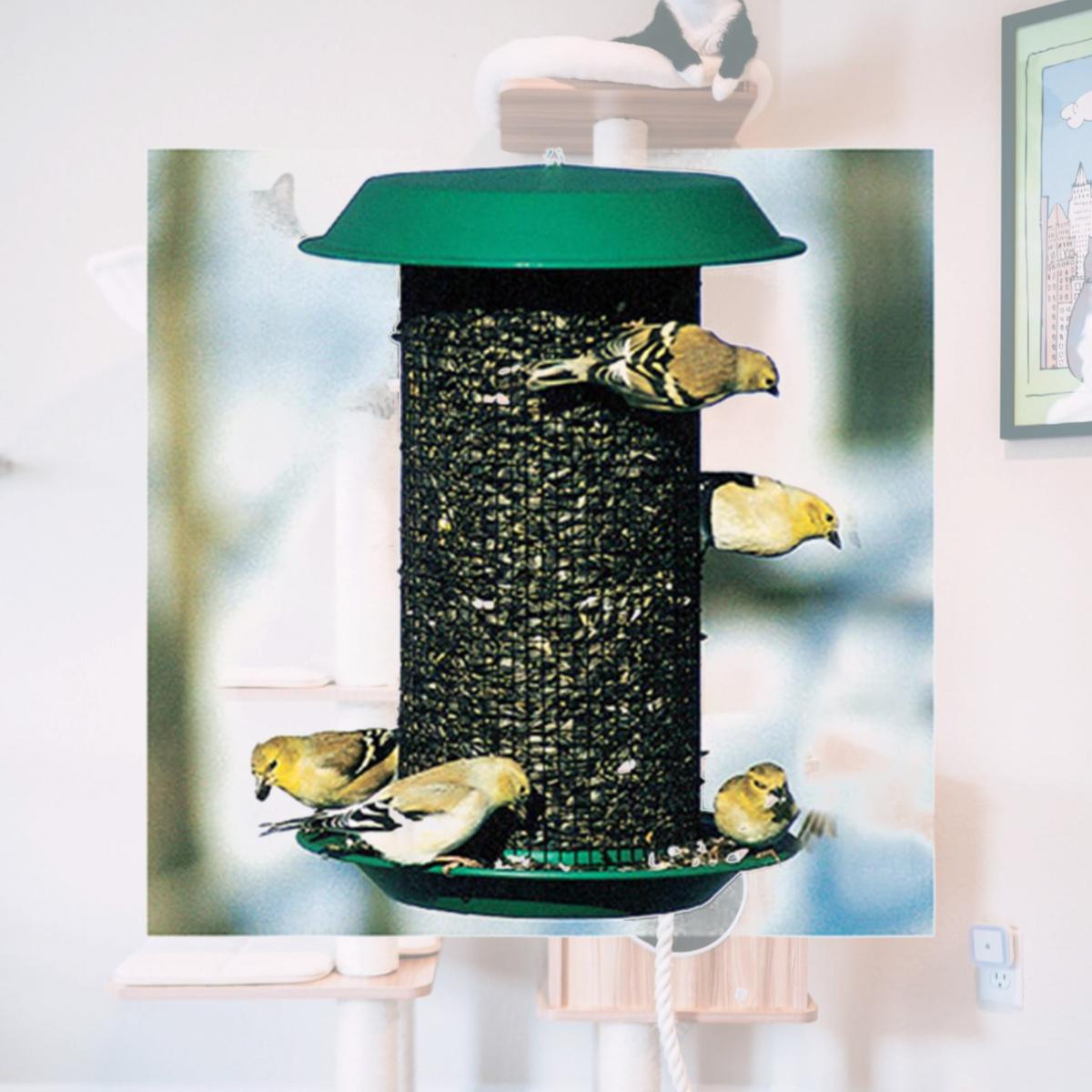 Picture of Woodlink NAMAG1 Plastic Oil Sunflower Bird Magnum Feeder- Hunter Green