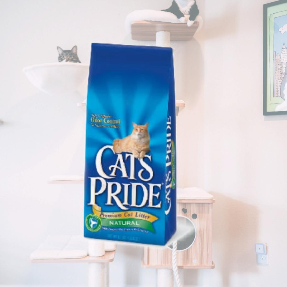 Picture of Cats Pride 01510 10 lbs. Original Cat Litter - Pack Of 3