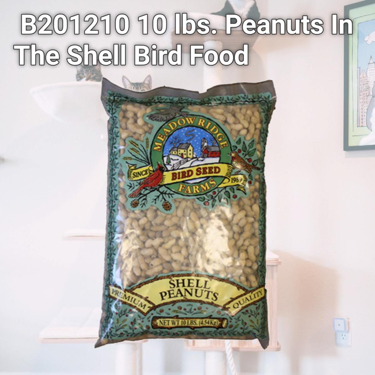 Picture of JRK Seed & Turf Supply B201210 10 lbs. Peanuts In The Shell Bird Food