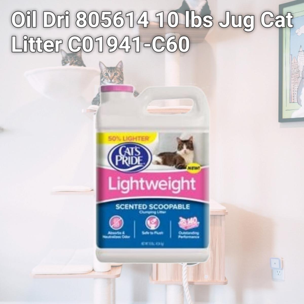 Picture of Oil Dri 805614 10 lbs Jug Cat Litter C01941-C60