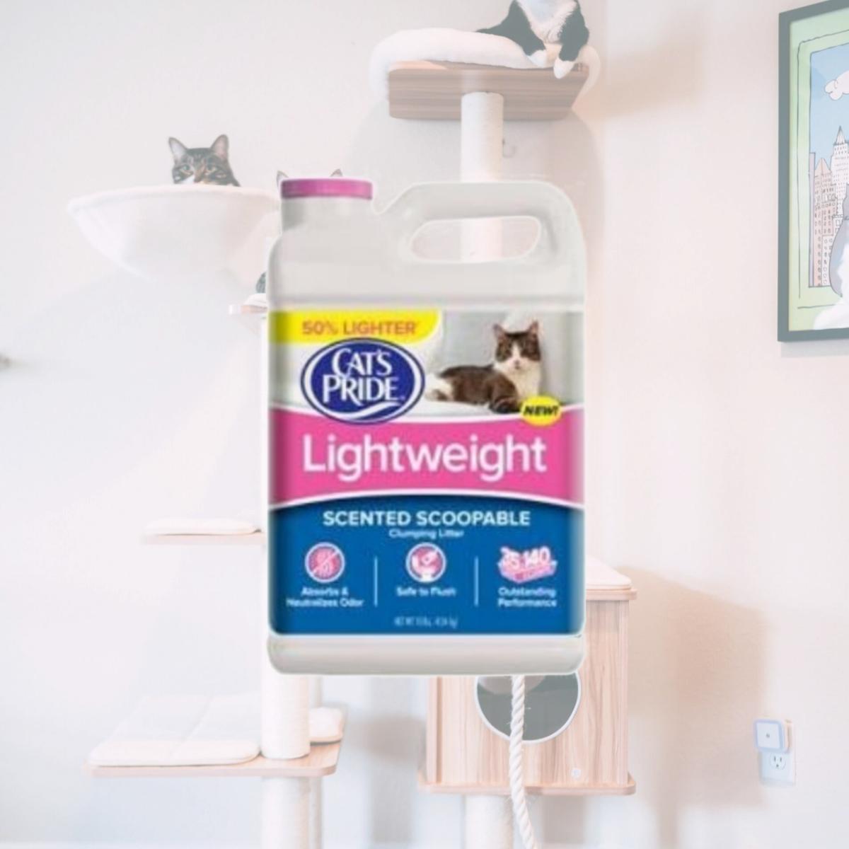 Picture of Oil Dri 805614 10 lbs Jug Cat Litter C01941-C60