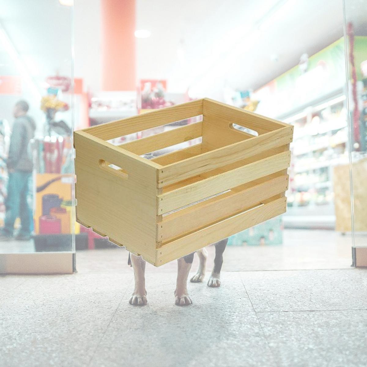 Picture of Houseworks 217343 67140 18 x 12.5 x 9.5Plt Wd Crate