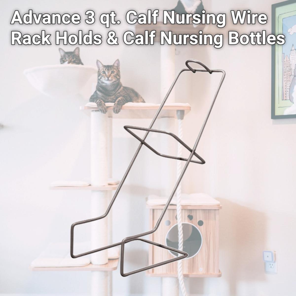 Picture of Fairchild 156700 Advance 3 qt. Calf Nursing Wire Rack Holds & Calf Nursing Bottles