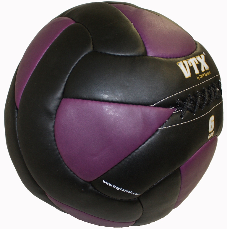 Troy Barbell PWB-006 6 lbs Leather Wall Ball, Black & Purple