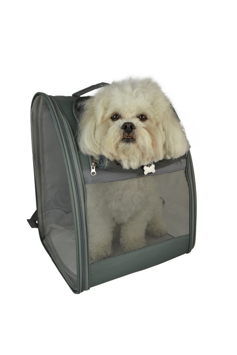 Picture of Three Star Import & Export DB10-GRN 17 x 14 x 11 in. Mesh & Fabric Pet Backpack