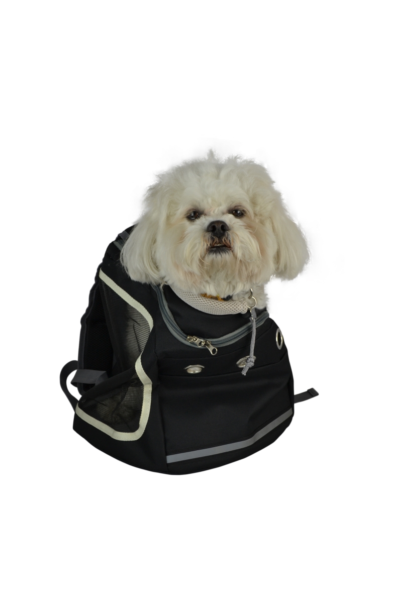 Picture of Three Star Import & Export DB11-BLK 15 x 13 x 10 in. Fabric & Mesh Pet Backpack