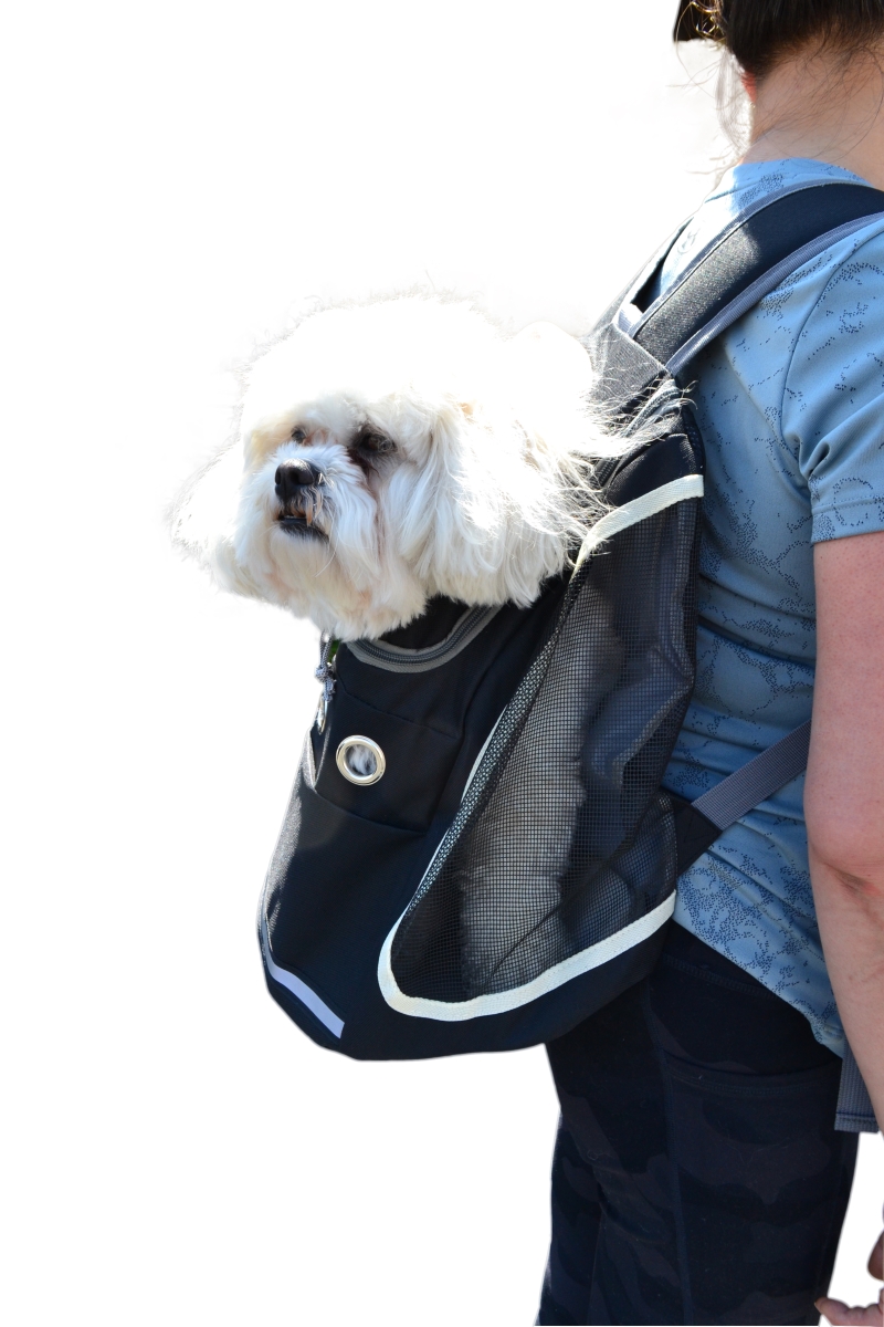 Picture of Three Star Import & Export DB11-BLK 15 x 13 x 10 in. Fabric & Mesh Pet Backpack