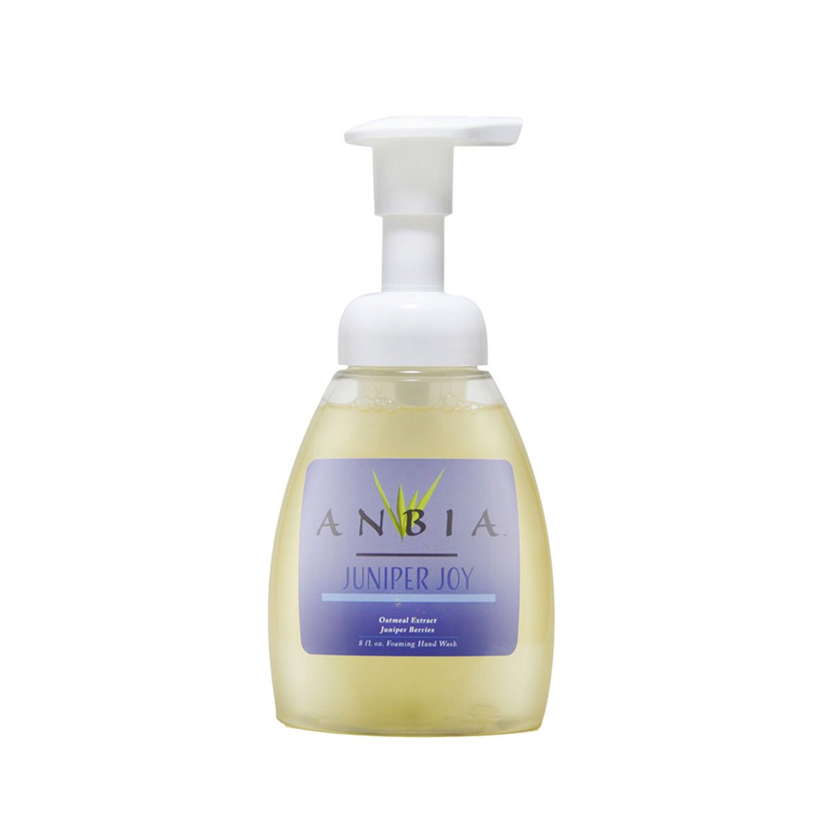 Picture of Anbia ANJJ307 Juniper Joy Endlessly Pure Foaming Hand Wash Soap