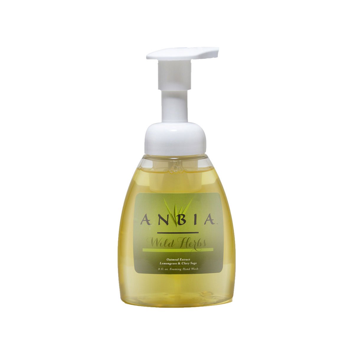 Picture of Anbia ANWH310 Wild Herbs Endlessly Pure Foaming Hand Wash Soap