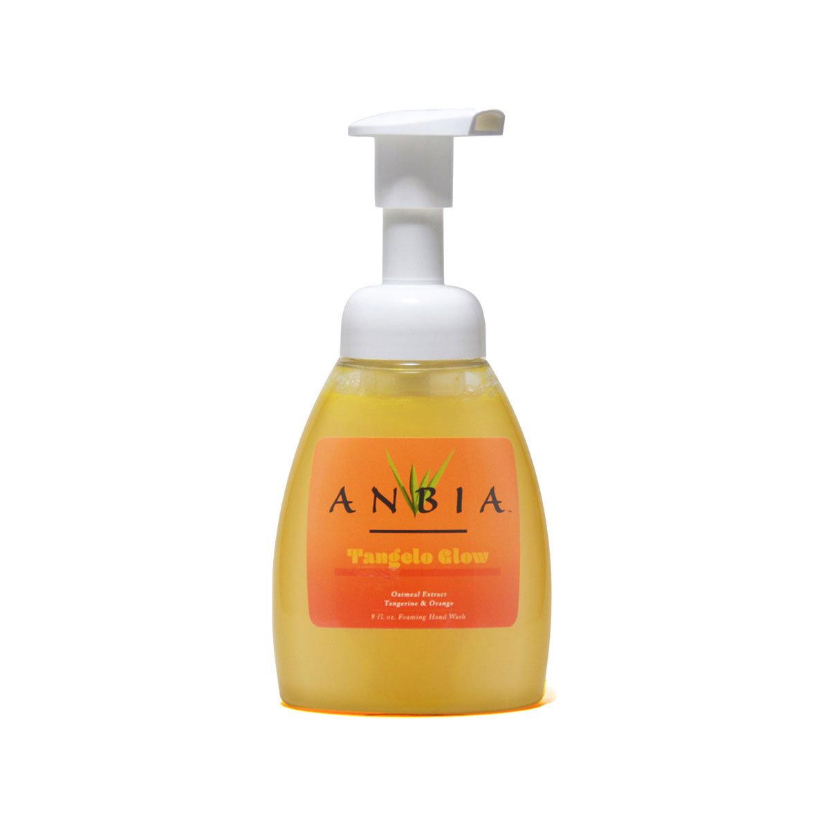 Picture of Anbia ANTG309 Tangelo Glow Endlessly Pure Foaming Hand Wash Soap