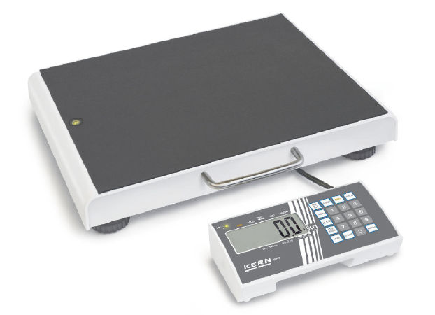 300 kg Personal Floor Max Scale