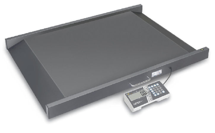 Picture of Kern MWS 300K100M 300 kg Max Wheelchair Platform Scale with Type Approval