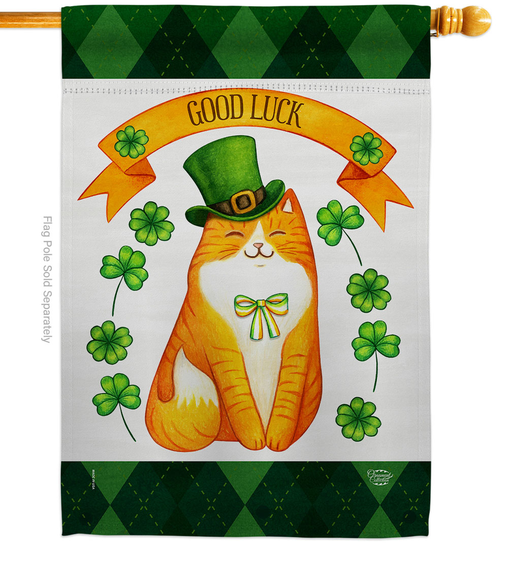 Patty Kitty Springtime St Patrick Double-Sided Garden Decorative House Flag, Multi Color