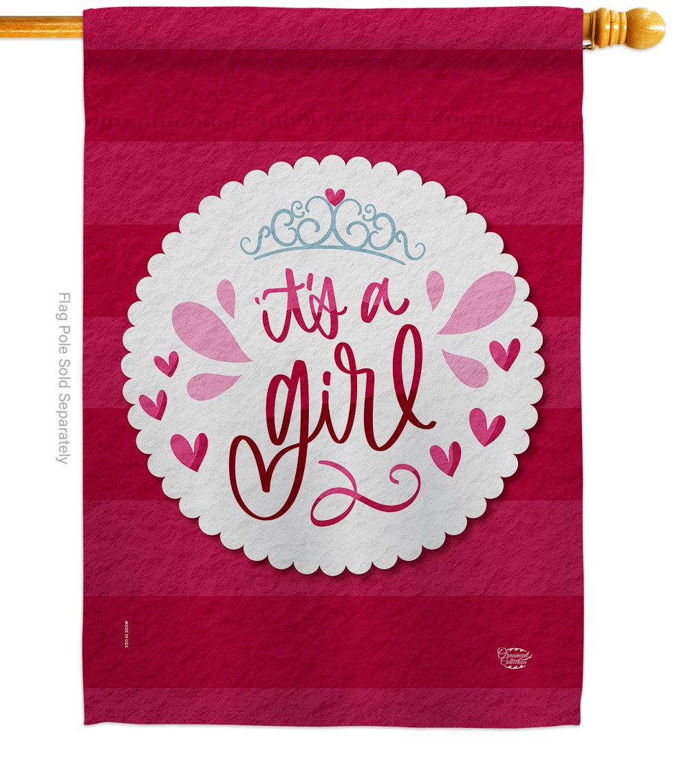 H192438-BO Its a Girl Celebration New Born Double-Sided Garden Decorative House Flag, Multi Color