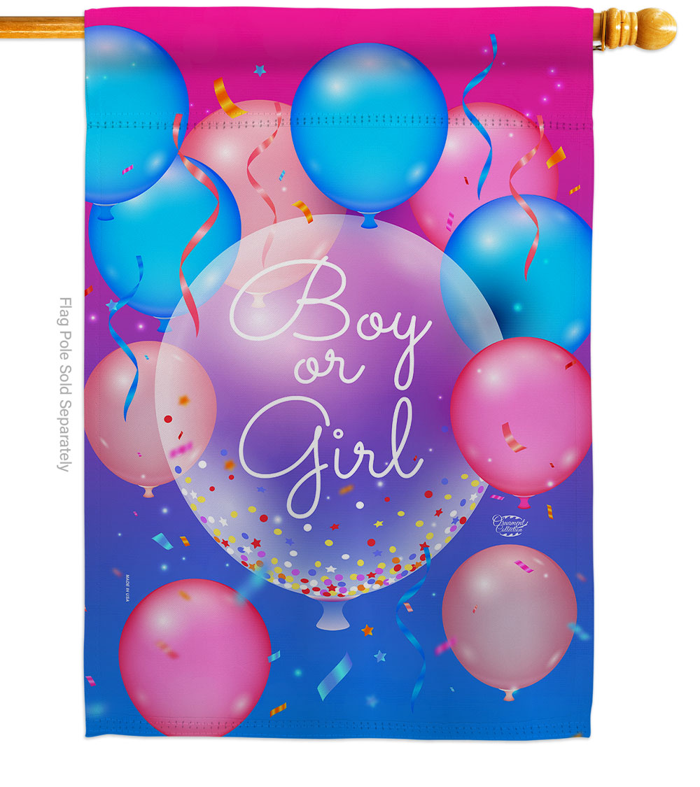 H192675-BO Boy or Girl Celebration New Born Double-Sided Garden Decorative House Flag, Multi Color
