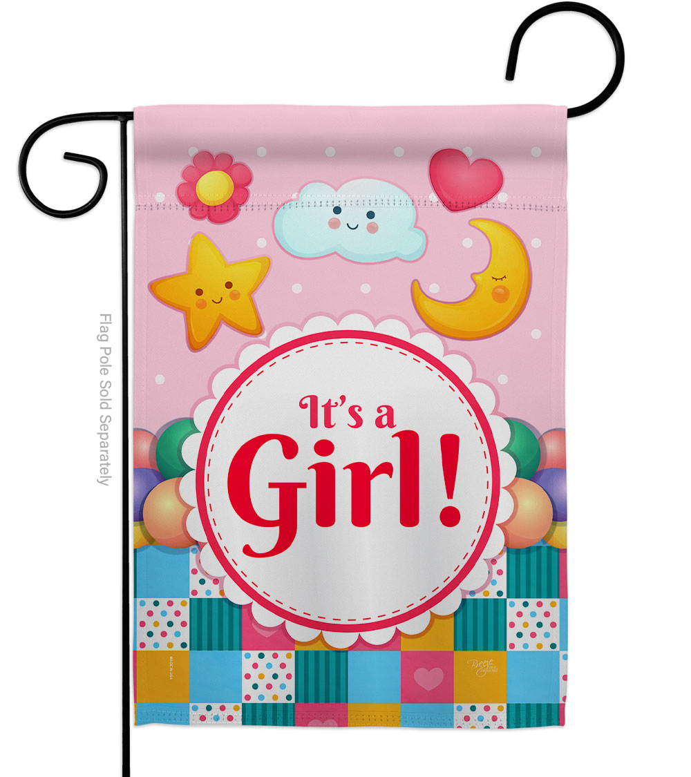 G165216-BO Its a Baby Girl Celebration New Born Double-Sided Decorative Garden Flag, Multi Color