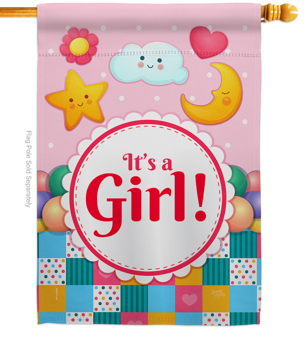 H115216-BO Its a Baby Girl Celebration New Born Double-Sided Garden Decorative House Flag, Multi Color