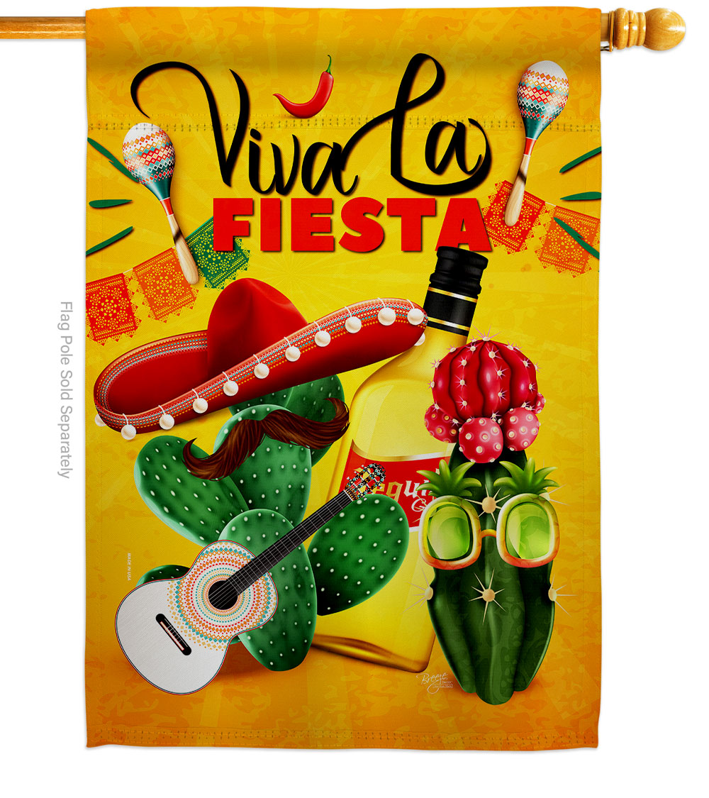 Fiesta Fun Celebration Party Double-Sided Garden Decorative House Flag, Multi Color