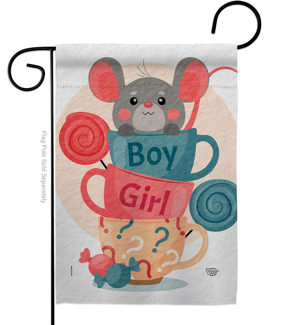 Mousy Boy Girl Celebration New Born Double-Sided Decorative Garden Flag, Multi Color