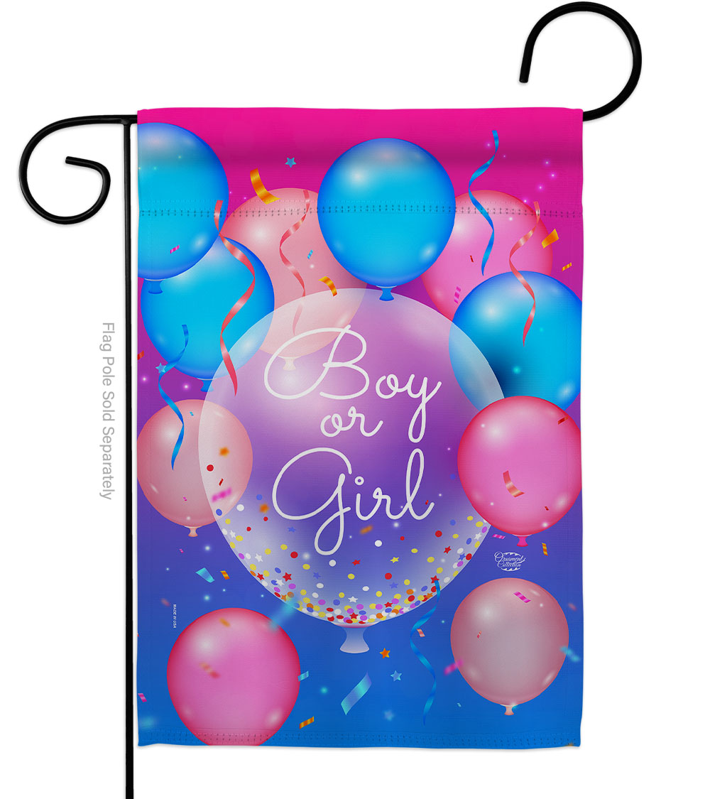 G192675-BO Boy or Girl Celebration New Born Double-Sided Decorative Garden Flag, Multi Color