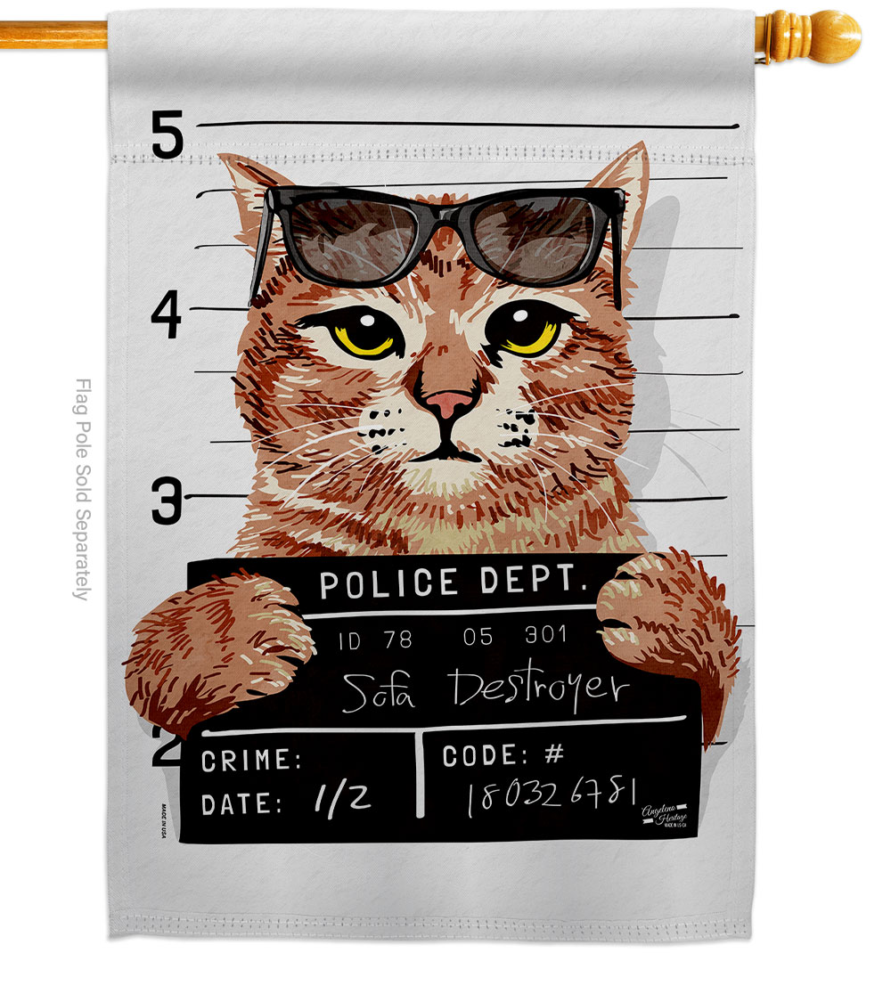 Bad Kitty Animals Cat 28 x 40 in. Double-Sided Decorative Vertical House Flags for Decoration Banner Garden Yard Gift