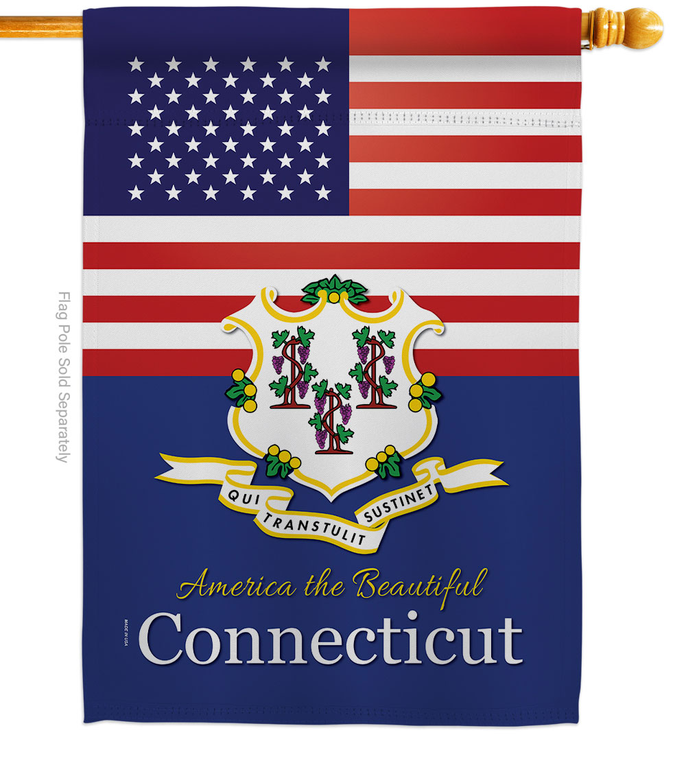 H140558-BO 28 x 40 in. USA Connecticut American State Vertical House Flag with Double-Sided Decorative Banner Garden Yard Gift