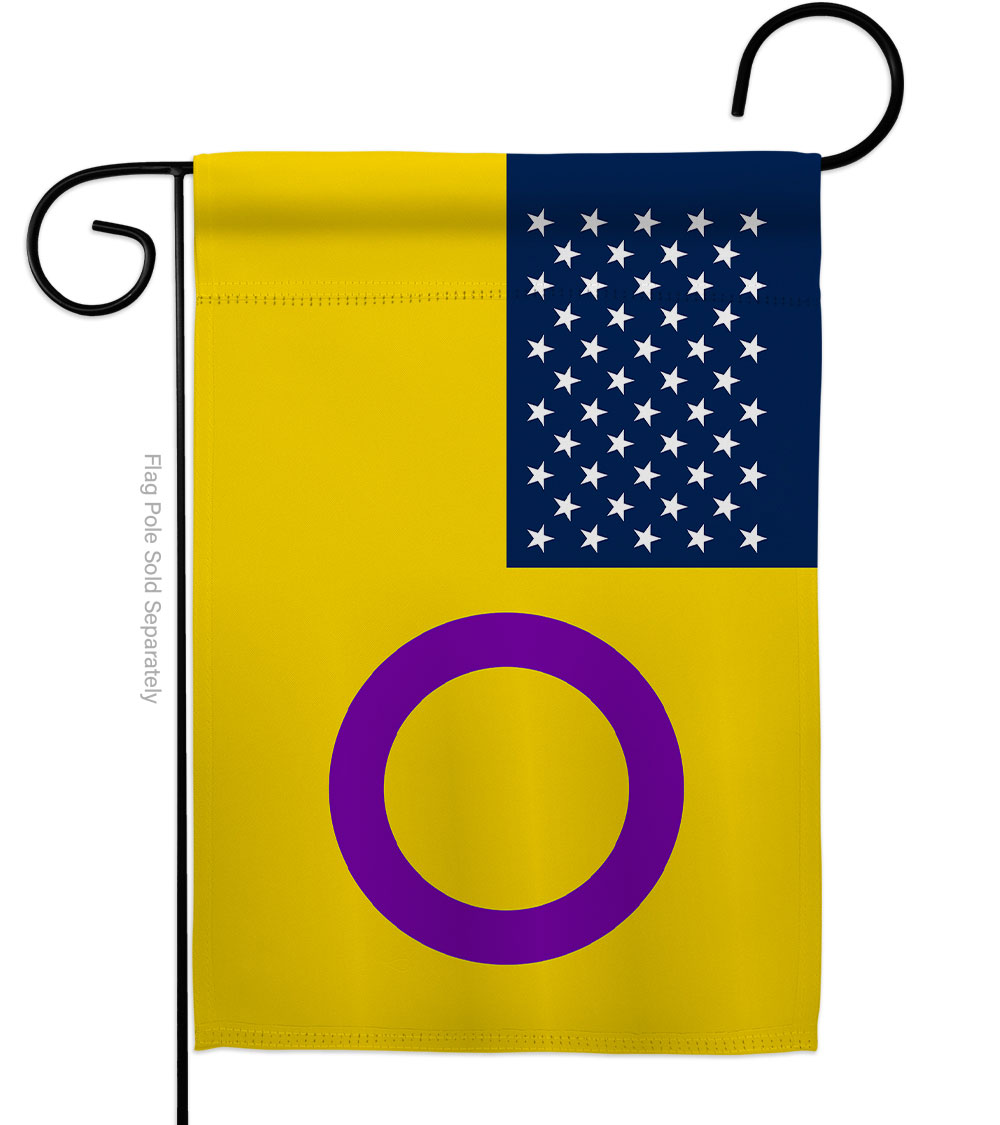 G149651-BO US Intersex Support Pride 13 x 18.5 in. Double-Sided Decorative Horizontal Garden Flags for House Decoration Banner Yard Gift