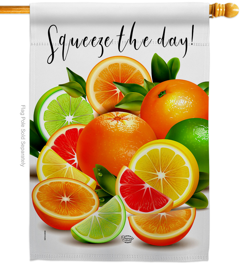 H192517-BO Sqeeze the Day Food Fruit 28 x 40 in. Double-Sided Decorative Vertical House Flags for Decoration Banner Garden Yard Gift