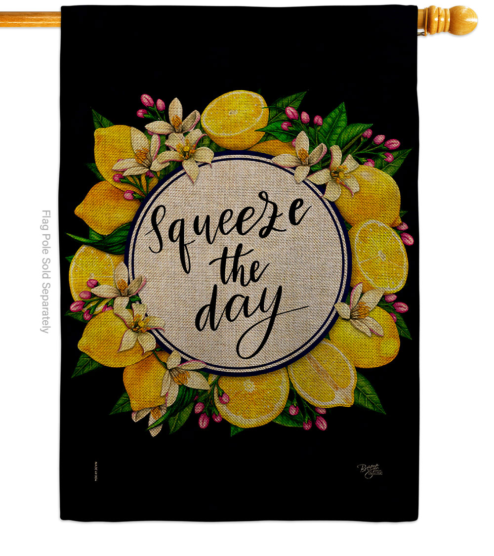 Squeeze the Day Food Fruit 28 x 40 in. Double-Sided Decorative Vertical House Flag for Decoration Banner Garden Yard Gift
