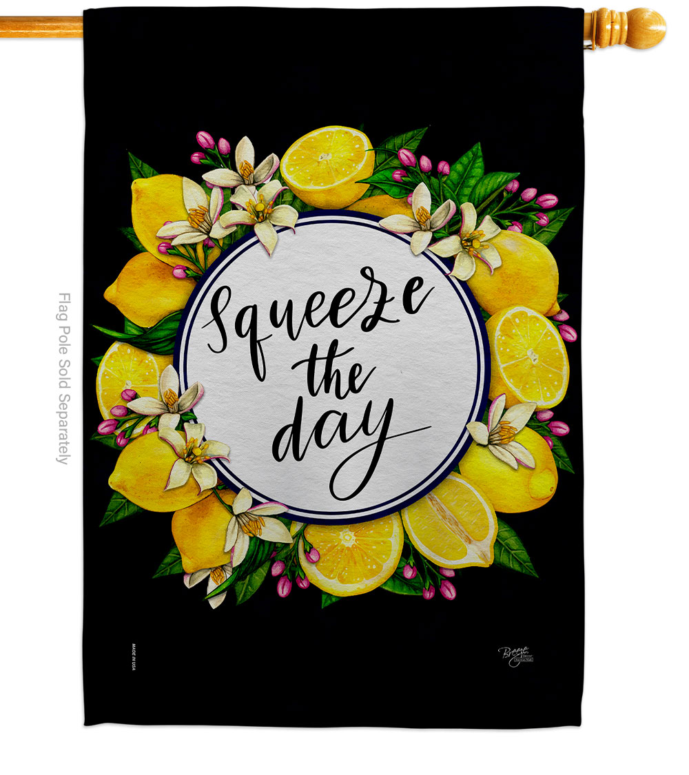 Squeeze the Day Food Fruit 28 x 40 in. Double-Sided Decorative Vertical House Flag for Decoration Banner Garden Yard Gift
