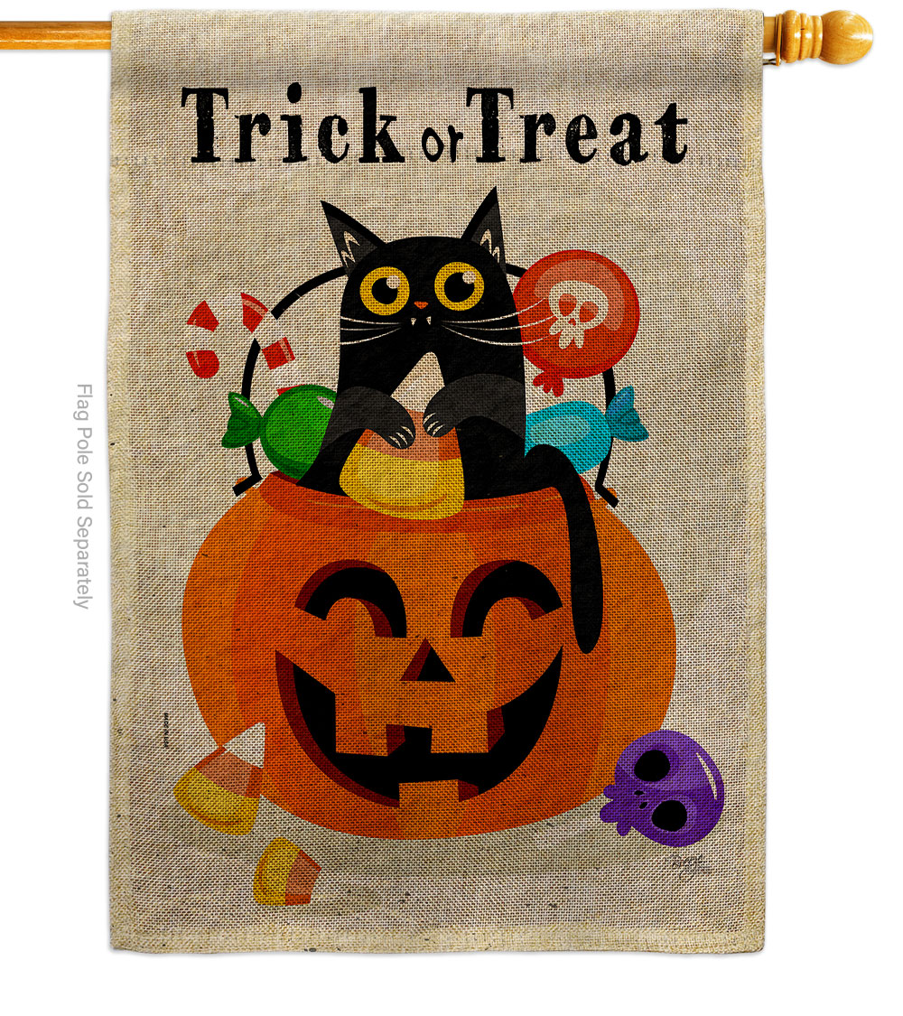 Silly Halloween Kitty Falltime 28 x 40 in. Double-Sided Decorative Horizontal House Flag for Decoration Banner Garden Yard Gift