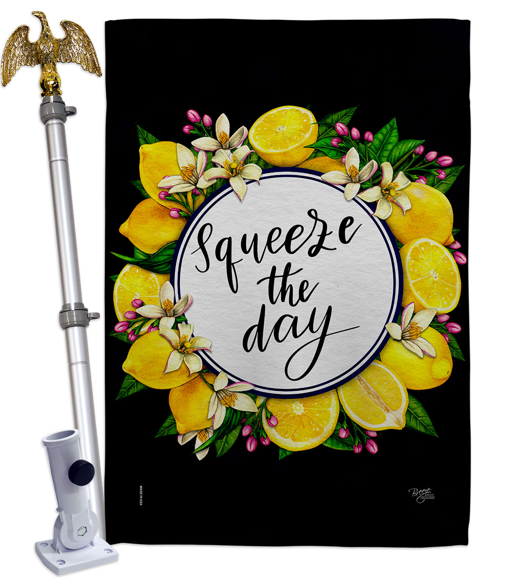 Squeeze the Day Food Fruit 28 x 40 in. Double-Sided Decorative Vertical House Flag Set for Decoration Banner Garden Yard Gift