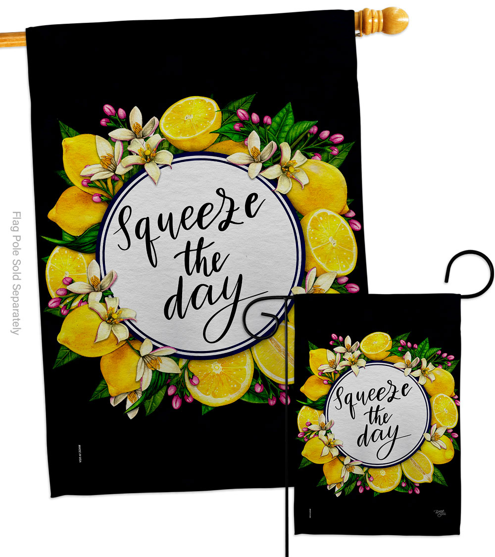 Squeeze the Day Food Fruit 28 x 40 in. Double-Sided Decorative Vertical House Flags Set for Decoration Banner Garden Yard Gift