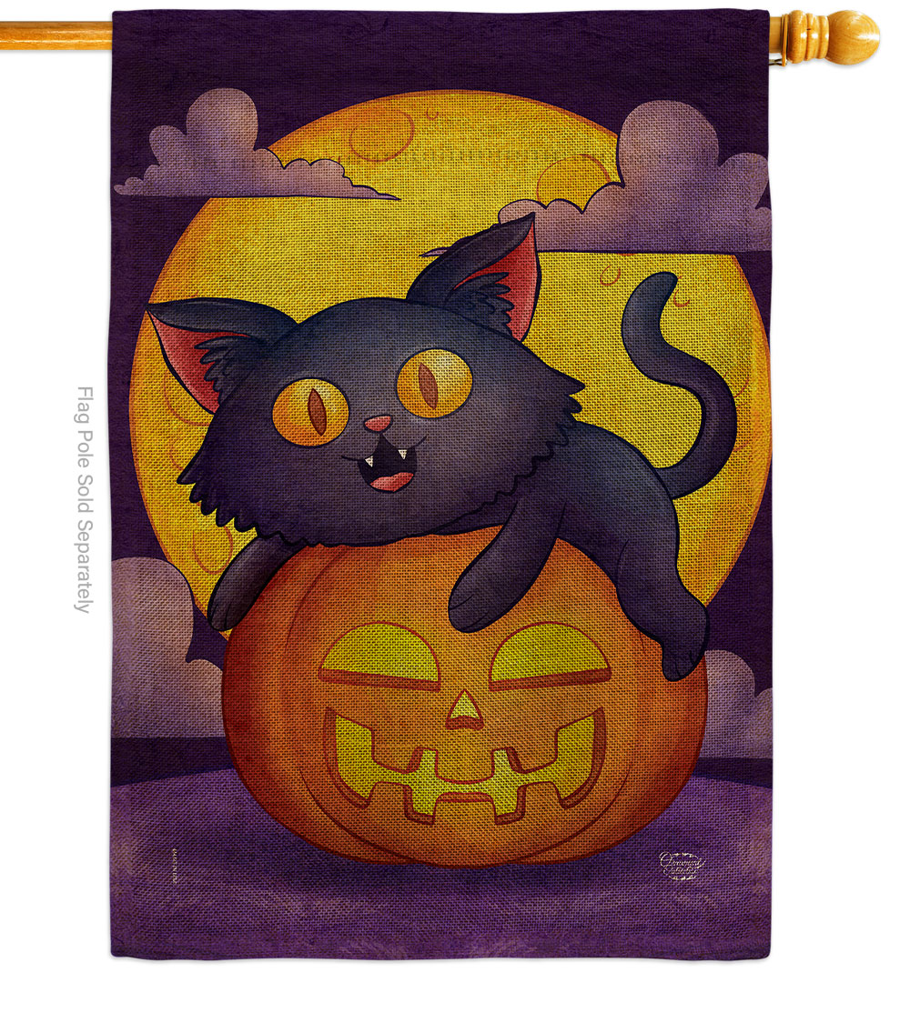 H190170-DB Halloween Kitty Falltime 28 x 40 in. Double-Sided Decorative Vertical House Flag for Decoration Banner Garden Yard Gift