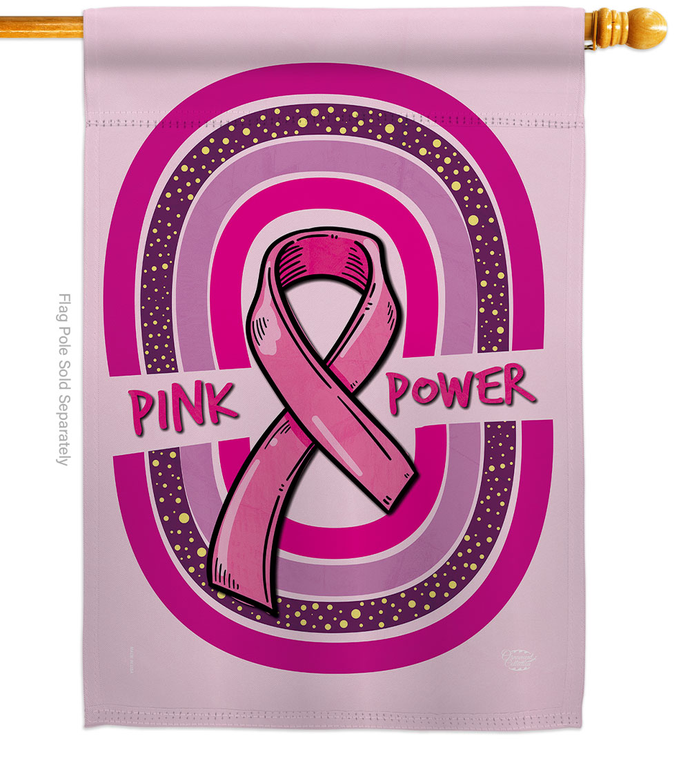 28 x 40 in. Pink Power House Flag