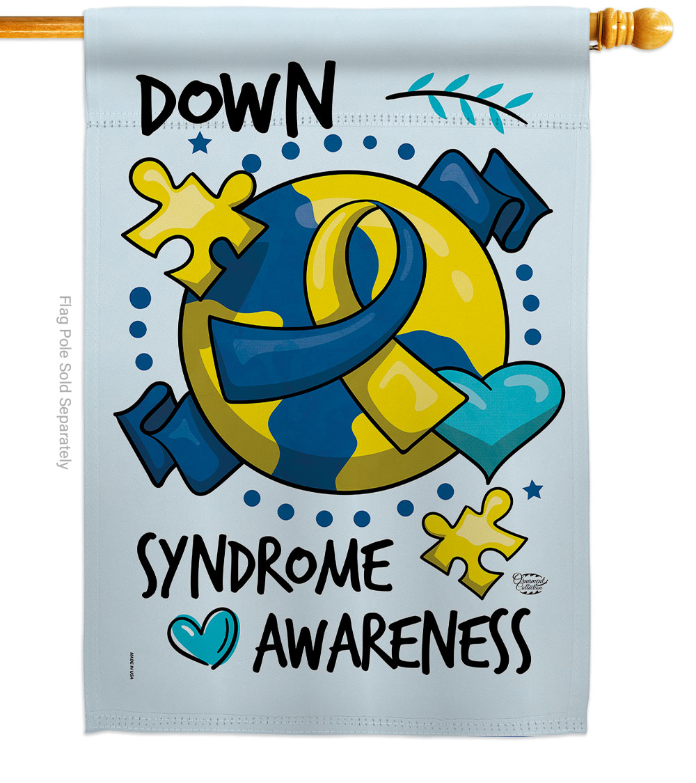 28 x 40 in. Down Syndorome Heart House Flag