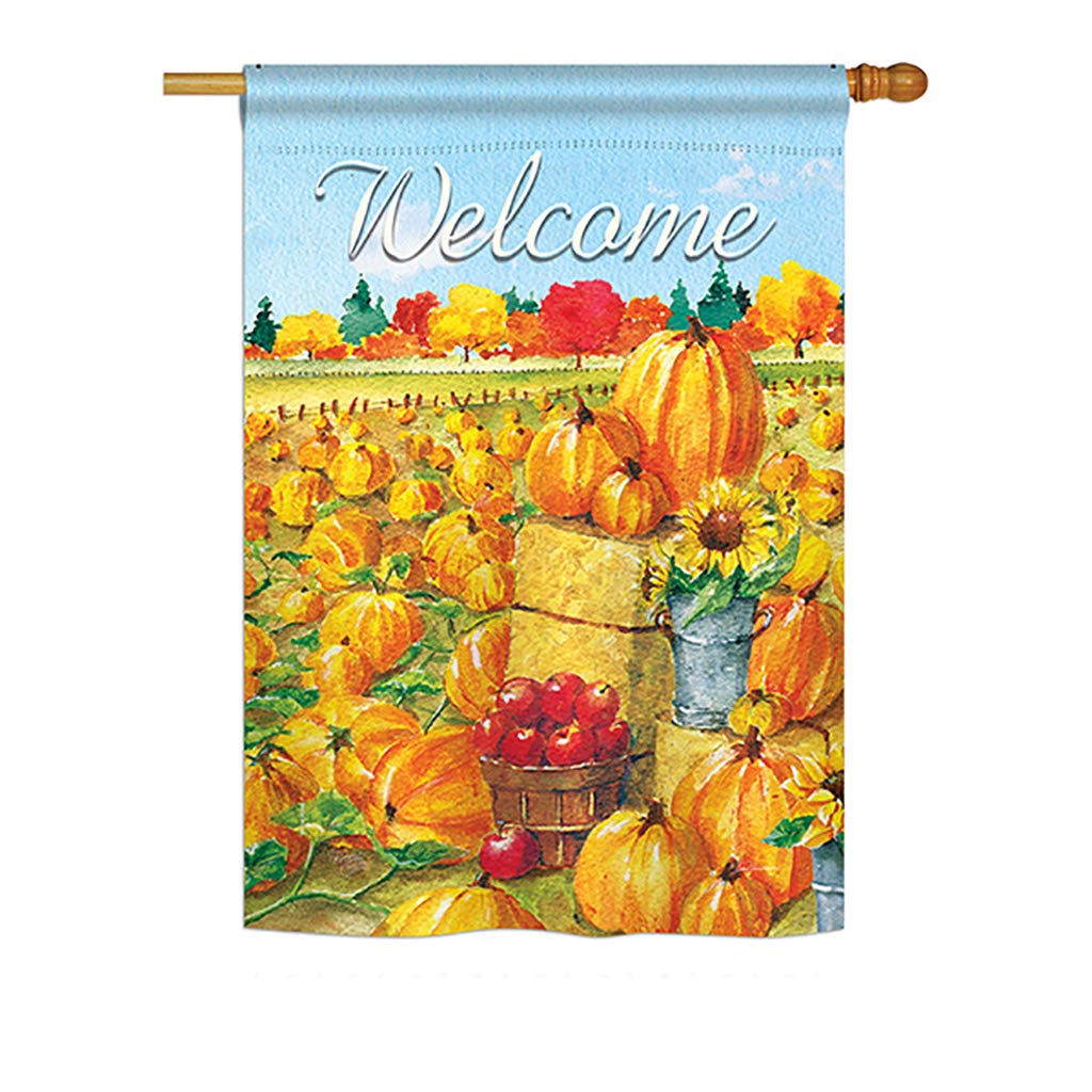 BD-HA-H-113081-IP-BO-D-US18-BT H113081-BO Pumpkin Patch Fall Harvest & Autumn Impressions Decorative Vertical 28 x 40 in. Double Sided House Flag