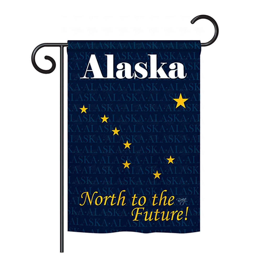 Breeze Decor BD-SS-GS-108135-IP-BO-D-US13-BD 13 x 18.5 in. Alaska Americana States Impressions Decorative Vertical Double Sided Garden Flag Set with Banner Pole
