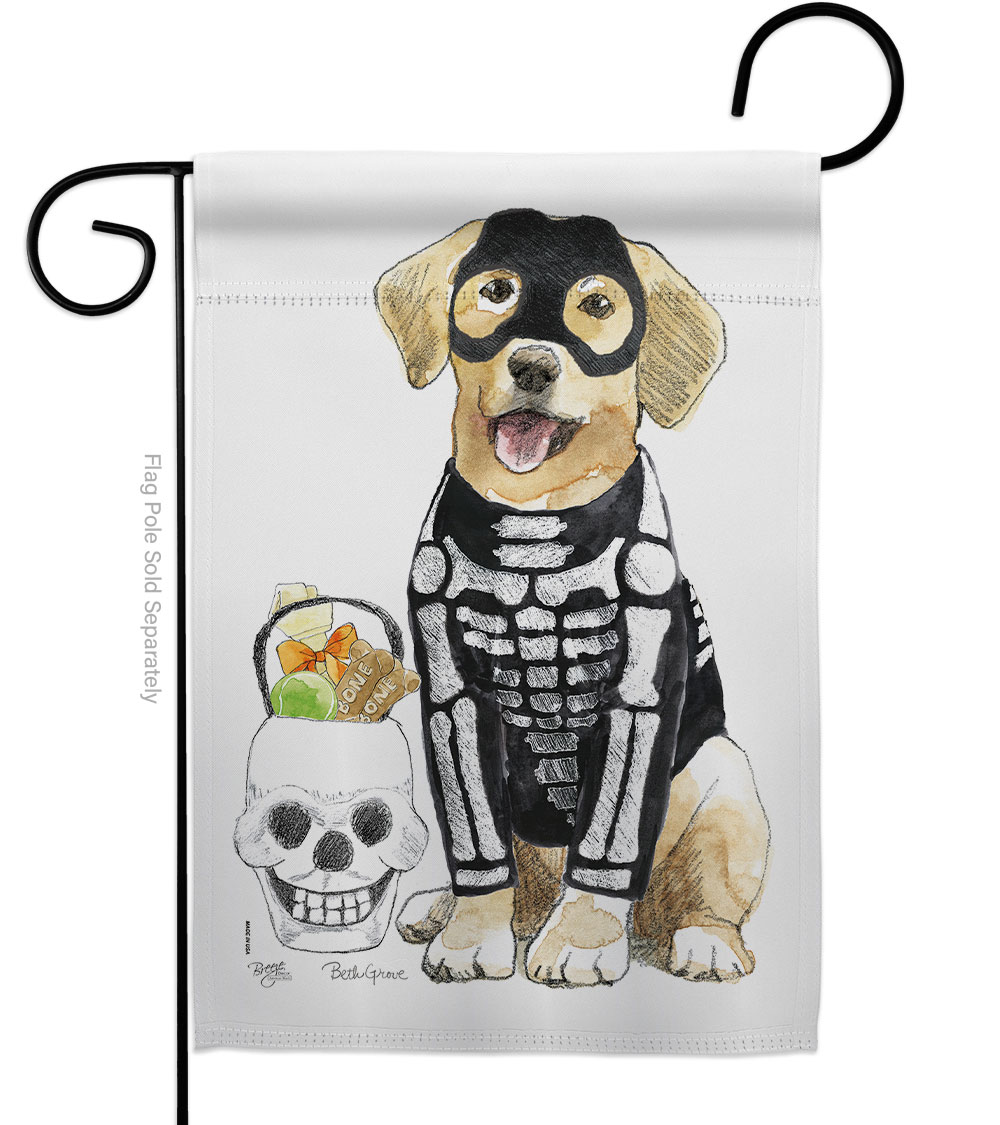 G162098-BO Spooky Skeleton Lab Garden Flag Fall Halloween 13 x 18.5 in. Double-Sided Decorative Vertical Flags for House Decoration Banner Yard Gift