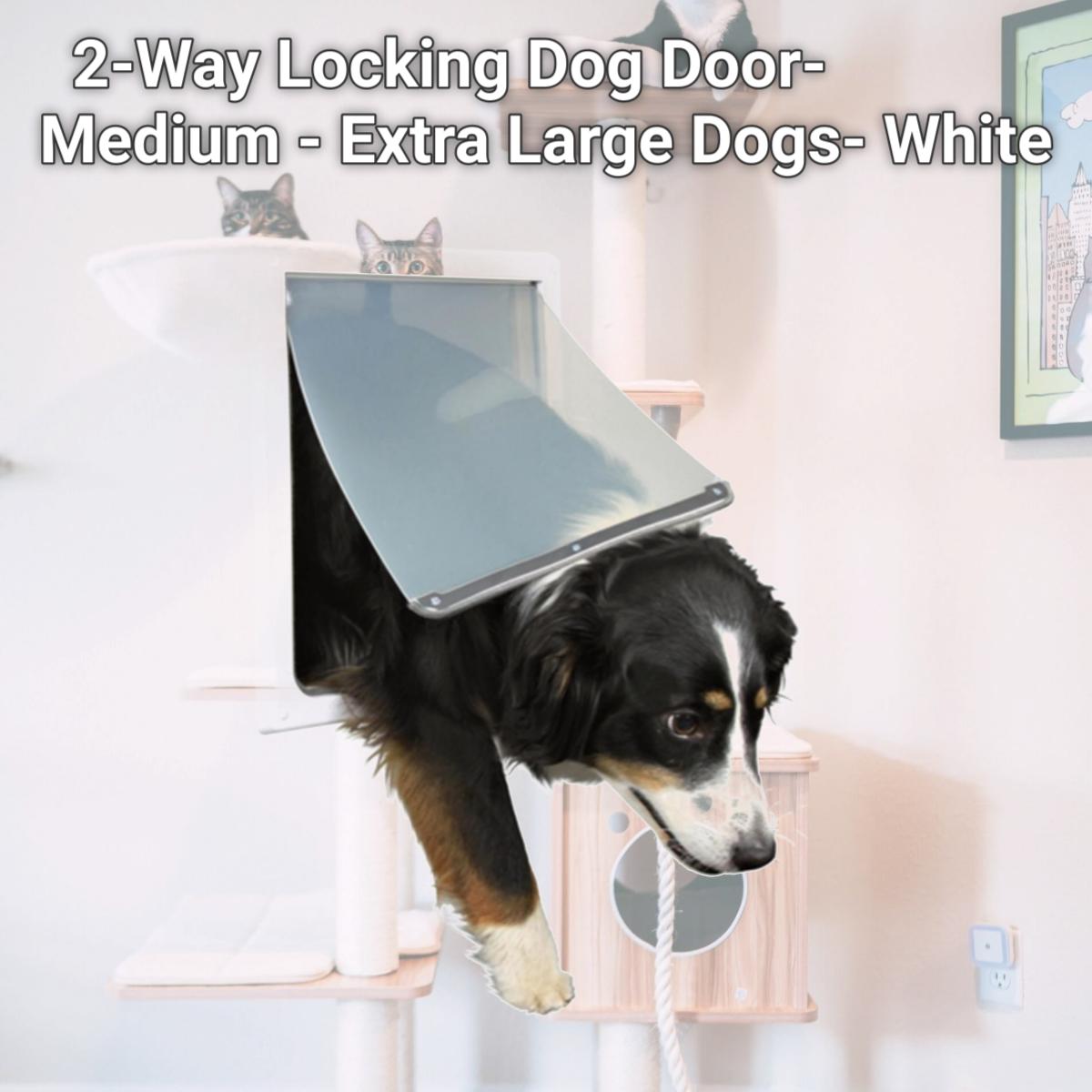 Picture of TRIXIE Pet Products 3879 2-Way Locking Dog Door- Medium - Extra Large Dogs- White