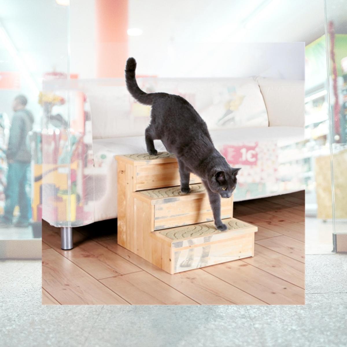 Picture of TRIXIE Pet Products 3943 Wooden Pet Stairs - Natural