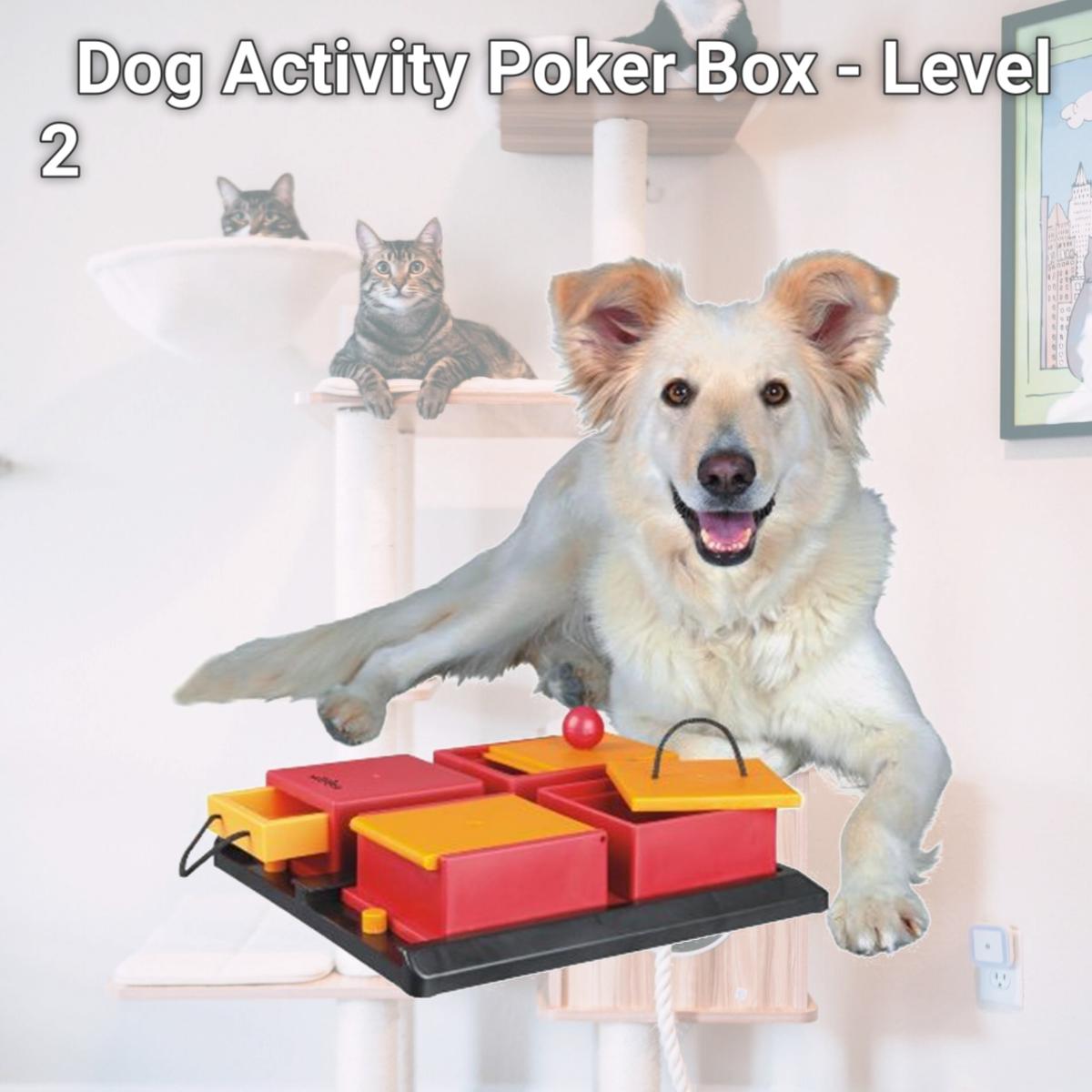 Picture of TRIXIE Pet Products 32012 Dog Activity Poker Box - Level 2