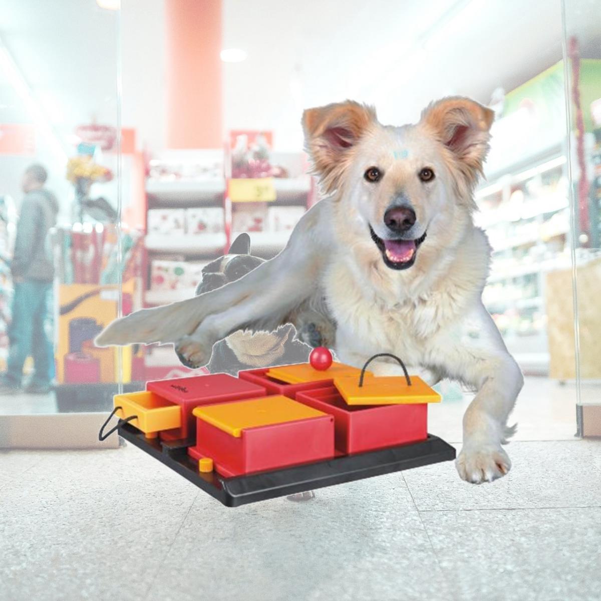 Picture of TRIXIE Pet Products 32012 Dog Activity Poker Box - Level 2