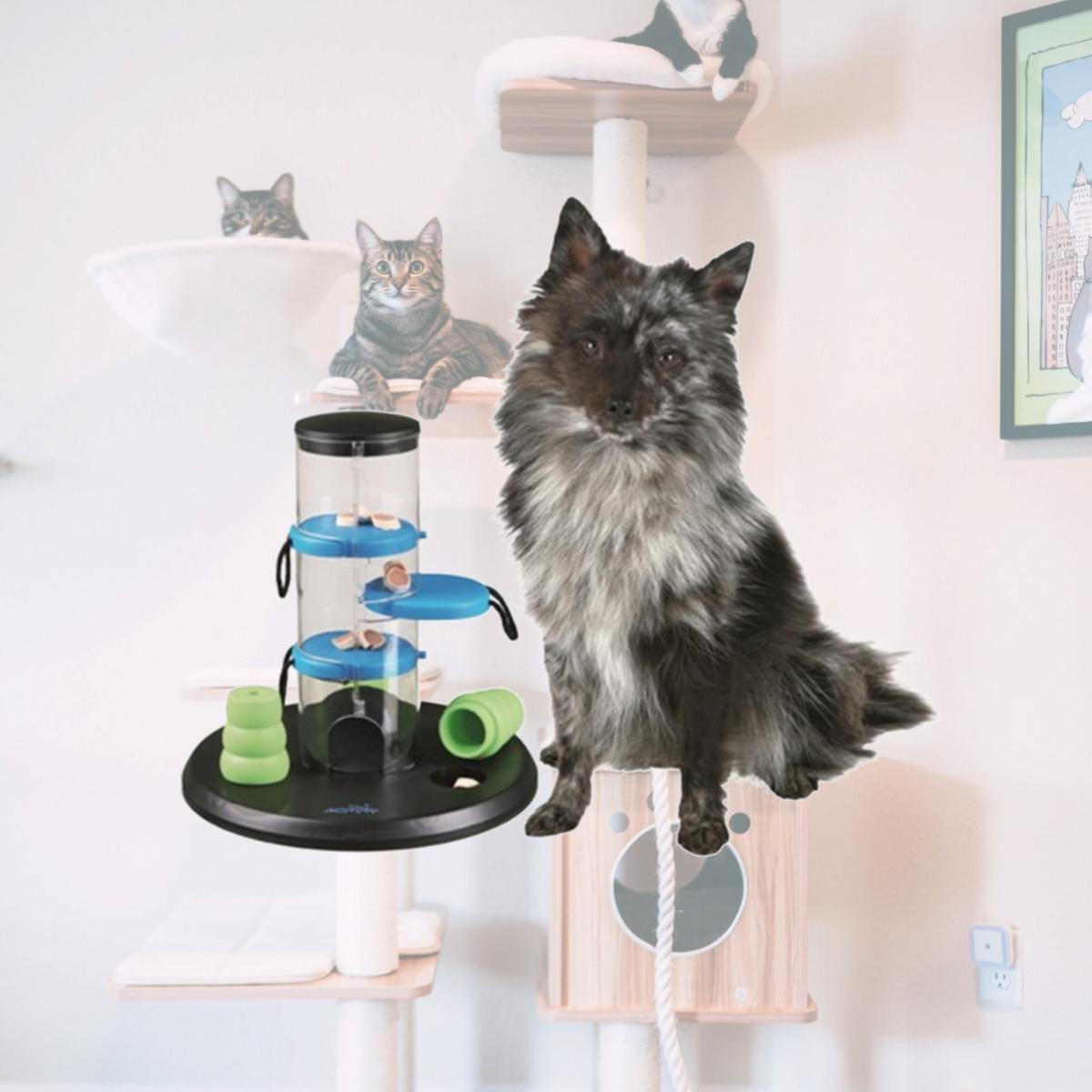 Picture of TRIXIE Pet Products 32016 Dog Activity Gambling Tower - Level 1