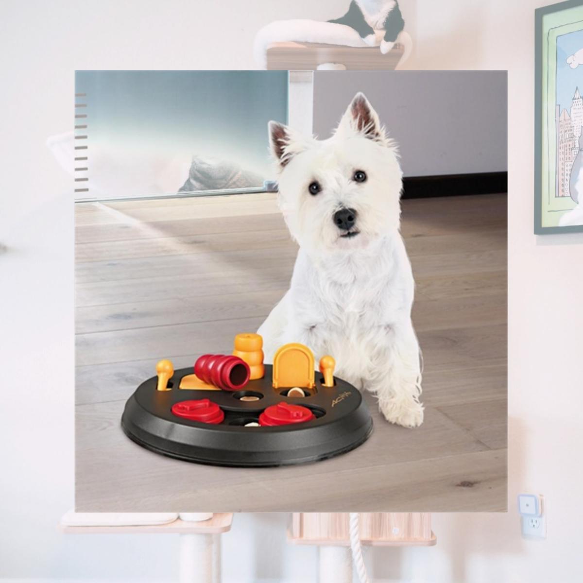 Picture of TRIXIE Pet Products 32026 Dog Activity Flip Board - Level 2
