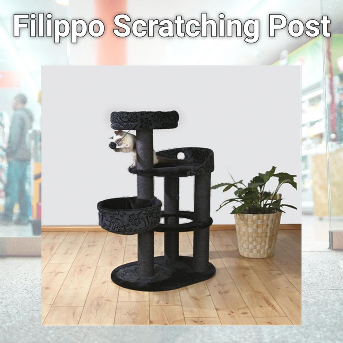 Picture of TRIXIE Pet Products 43467 Filippo Scratching Post